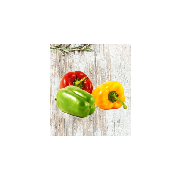 California Pepper (Tricolor) 